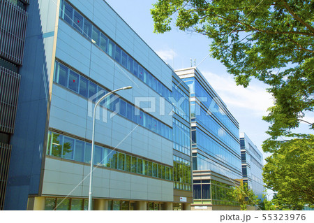 東北大学　国立大学 55323976