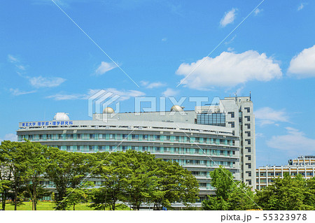 東北大学 国立大学 東北大学 国立大学 55323978