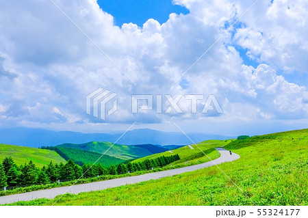 夏のビーナスライン 夏のビーナスライン 55324177