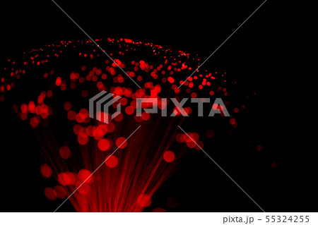 イルミネーション 55324255