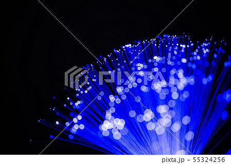 イルミネーション イルミネーション 55324256