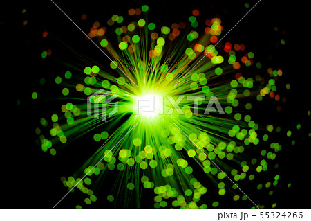 イルミネーション 55324266
