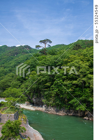 利根川 川風景 紅葉橋より温泉街方面 みなかみ町 利根川 川風景 紅葉橋より温泉街方面 みなかみ町 55324549