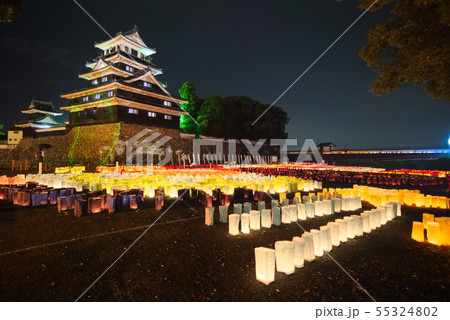 中津市　豊前の国　観月　中津城あかり 55324802