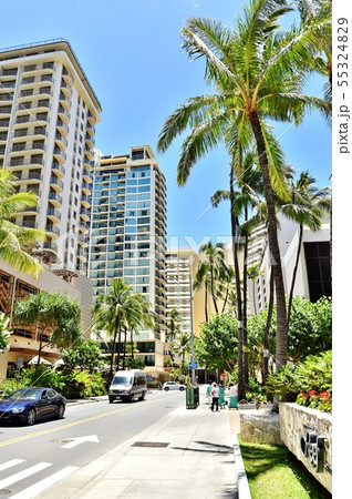 ハワイの休日 ハワイの休日 55324829