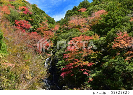 高知県大川村 大座礼渓谷の紅葉 高知県大川村 大座礼渓谷の紅葉 55325329
