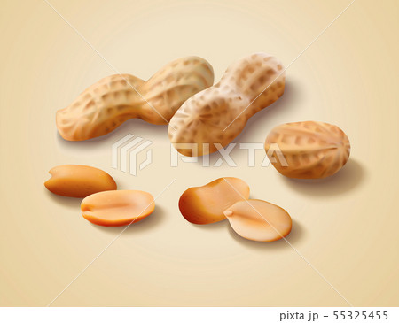 Dried peanut with shell 55325455