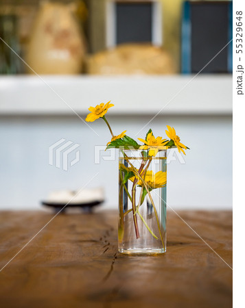 Yellow spring flowers in living room interior 55329648