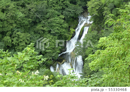 日光・霧降の滝 日光・霧降の滝 55330468