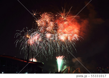 2019 豊田市おいでんまつり・花火 2019 豊田市おいでんまつり・花火 55331017