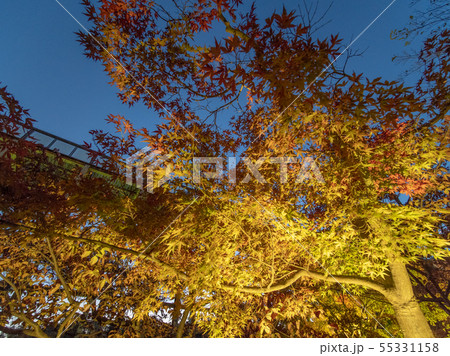 けいはんな記念公園 水景園 55331158