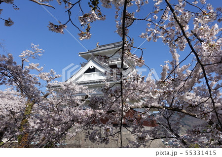 桜の上山城 55331415