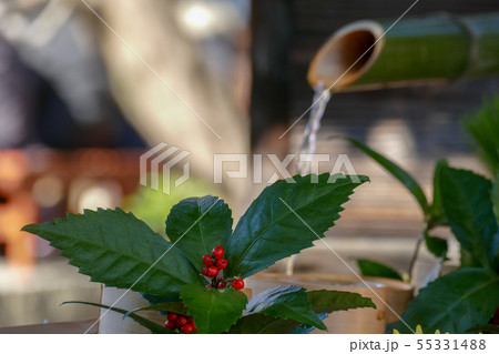 御寺泉涌寺 別院 雲龍院 55331488
