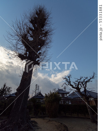 法雲寺 55331881
