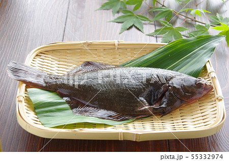 鰈 カレイ 魚 生魚 鰈 カレイ 魚 生魚 55332974