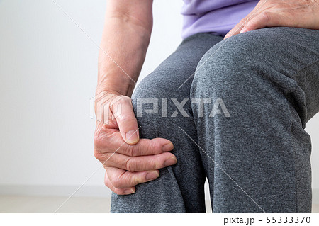 シニア　膝 55333370