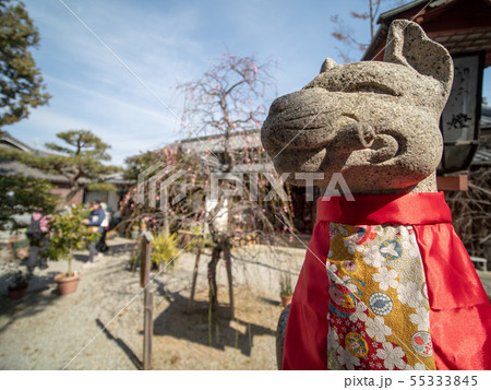 大和な雛まつり 55333845