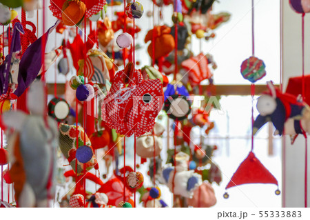 大和な雛まつり 55333883