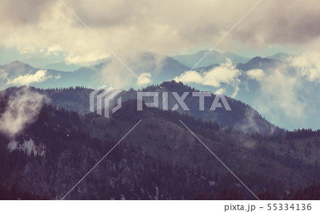 Fog in the mountains 55334136