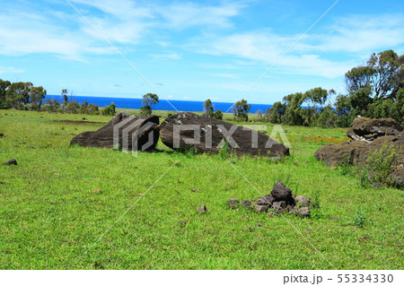 倒されたモアイ像 55334330