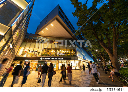 日本の東京都市景観　東京・表参道 55334614