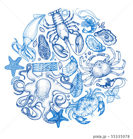 Seafood and fish background. Hand drawn vector 55335078