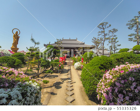 法雲禅寺のつつじ 55335326