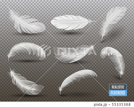 White Feathers Realistic Transparent Set 55335368