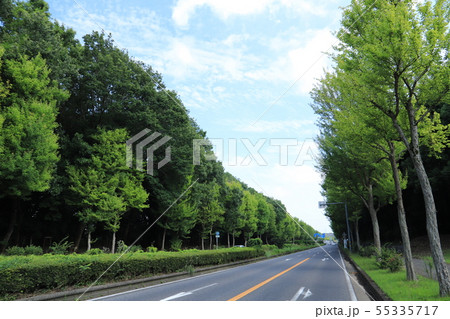 東大通り 日本の道百選、つくば市 東大通り 日本の道百選、つくば市 55335717