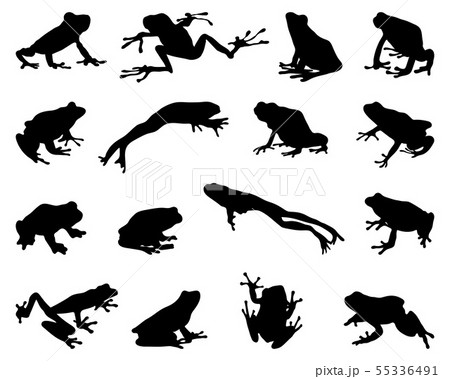 Black silhouettes of frogs on a white background 55336491