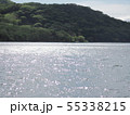 赤城大沼 55338215