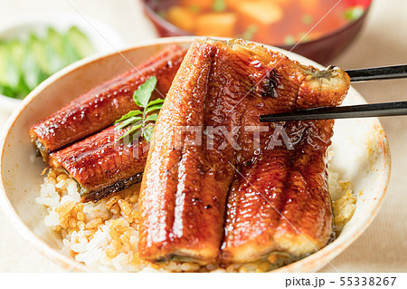 うな丼 うな丼 55338267