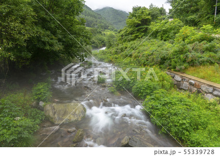 風景 自然 韓国 55339728
