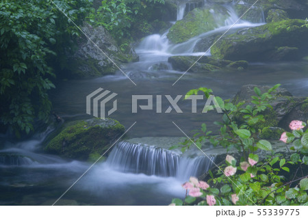 風景 自然 韓国 55339775