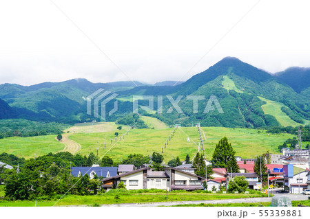 初夏の栂池高原スキー場 初夏の栂池高原スキー場 55339881