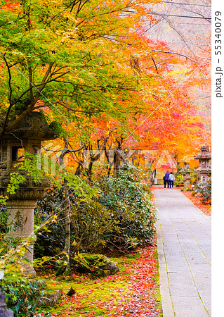 山本不動尊 （秋） 55340079