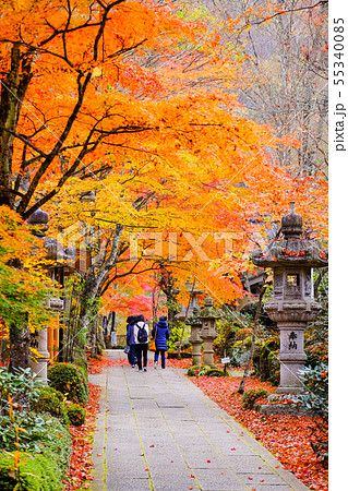 山本不動尊 （秋） 55340085