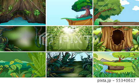 Empty, blank landscape nature scenes 55340617