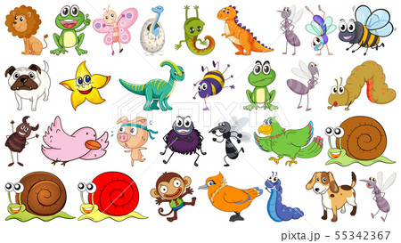 Set of different animals Set of different animals 55342367