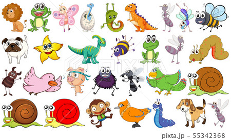 Set of different animals Set of different animals 55342368