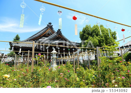 おふさ観音 ( 正式名称「十無量山観音寺 )  【 奈良県橿原市 】 55343092