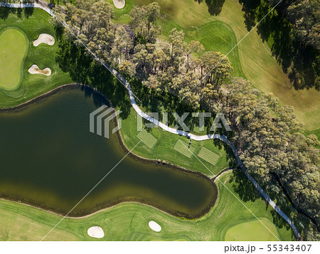Aerial photo of green golf fields in spring 55343407