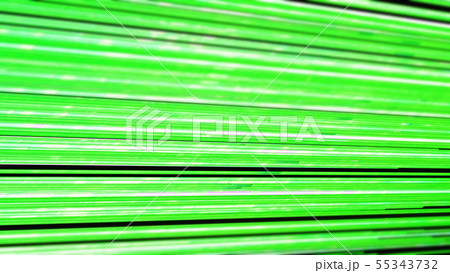 CGライン　多数の光る光線　緑色　黄緑色 55343732