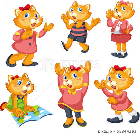 Cat set of actions isolated on white Cat set of actions isolated on white 55344293