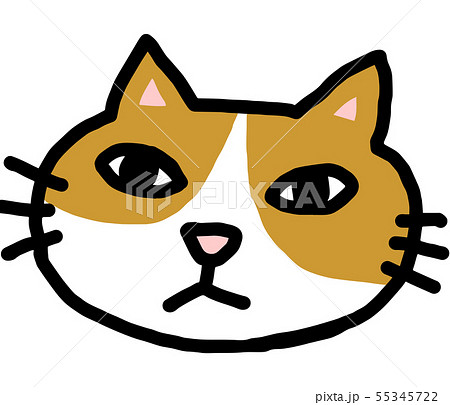 猫 猫 55345722
