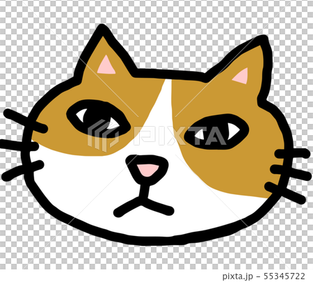 猫 猫 55345722