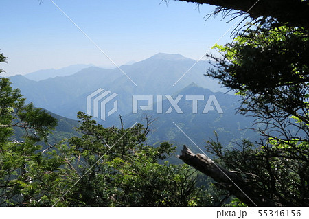【日本百名山】【日本三百名山】石鎚山登山道からみた瓶ヶ森　愛媛県西条市 55346156