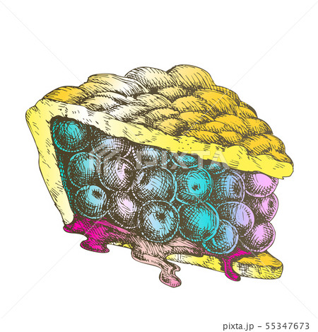 Color Delicious Berry Pie Sweet Dessert Vintage Vector 55347673