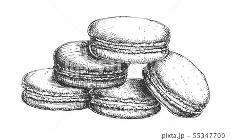 Macaroon Biscuit Sweet Dessert Vintage Vectorのイラスト素材