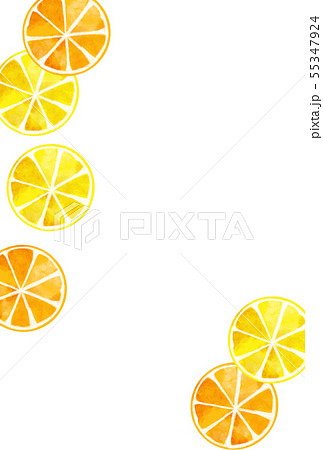 レモン オレンジ ポストカード レモン オレンジ ポストカード 55347924